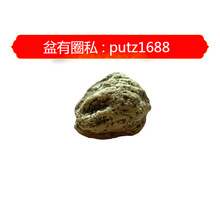 �ִ��������Ϙ����P������������������ɢɢ��������������o