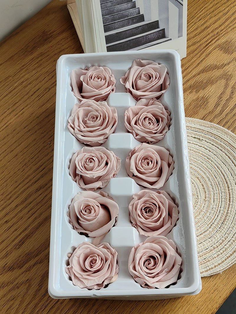 Eternal Rose head A -Class/B -Class Cabca Shengsheng Flower Handmade DIY Teacher's Day Gift Materials