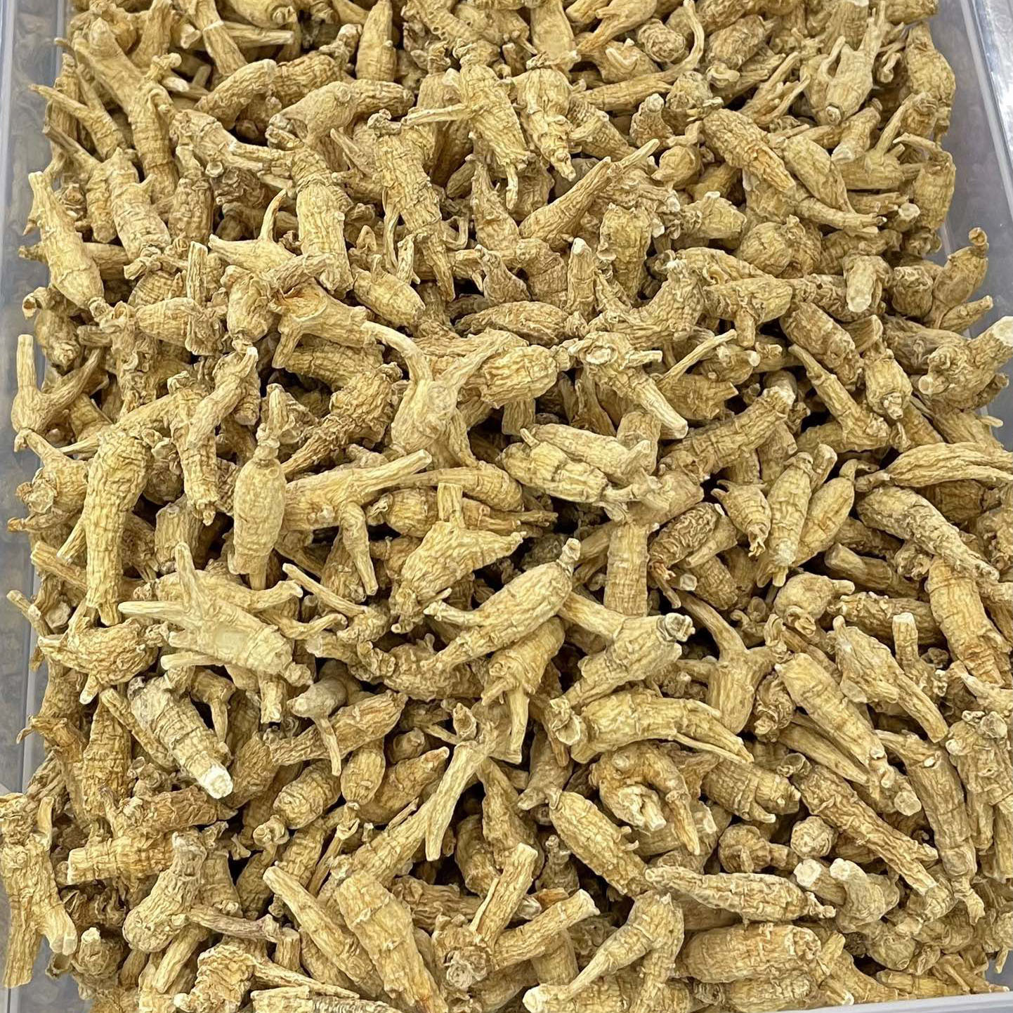 Canadian American Ginseng Hua Qi Shen 250g Whole Small Round Roots for Soup and Tea quality and texture