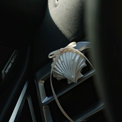 Handmade High-End Pearlescent Shell: Car Perfume Aromatherapy
