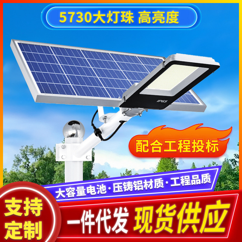 Solar Street Lights New Rural Area 6m Outdoor Courtyard Lights Intelligent Light Control Sensor Road Lighting Zhongshan Lighting Fixtures