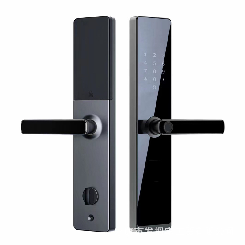 Cerradura de paso K18 con WiFi sin huella dactilar