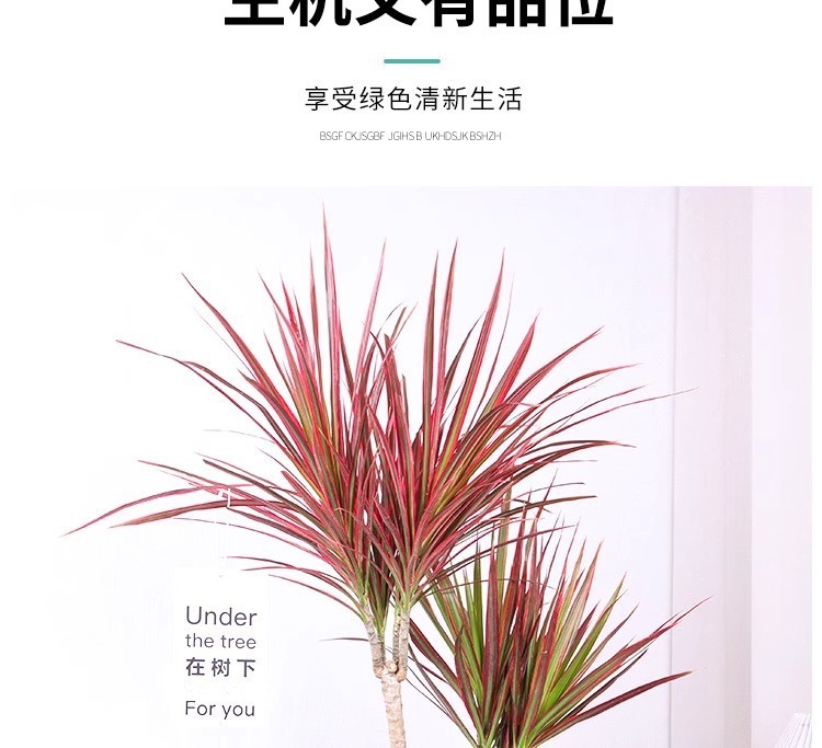 04ed9269-0723-46a5-a5ca-719c87aeee24.jpe