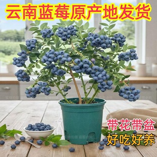 ����{ݮ���Ԏ������莧�����ڴ�������ϱ����̨ͥԺ�ͺ����B�o