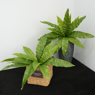 �S��ֱ��15�^�B��ާ�G�~ֲ��������Ʒ�����~�����F�~�҃ȾƵ��b�