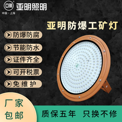 Benjamin Three anti-light explosion-proof Factory lights Stations Storehouse Paint Chemical industry Explosion proof lamp 50W200W Mining lamp