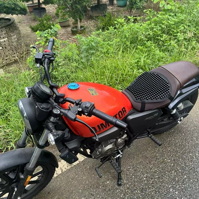 Electric car cushion Motorcycle Seat Cover Take-out Universal