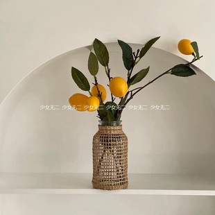 Ins Style Braided Glass Dried Flower Vase Flower Vase Hydroponic Flower Device B&B Home Decoration Ornaments Living Room