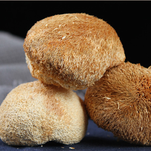 Factory direct supply of new Hericium dried goods wholesale edible mushroom soup Hericium dried edible fungi supports dropshipping