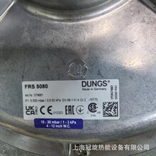 ��S���]ȼ��ܵ���DUNGSȼ���{���yFRS5080