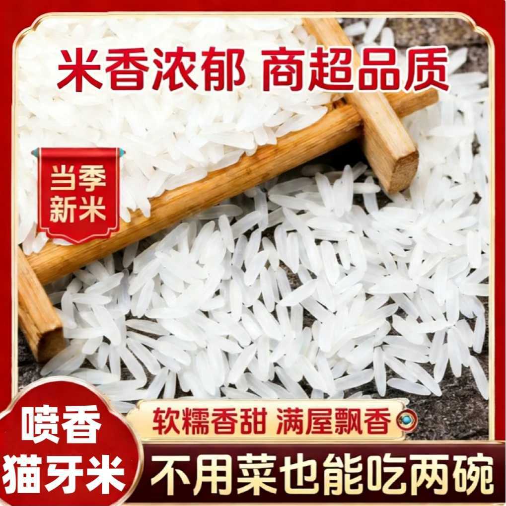 Cat's Tooth Rice, Long-Grain Rice, Fragrant Rice, New Rice, Indica Rice, Cat's Tooth Rice, Silk Rice, Soft and Glutinous Rice, Filling