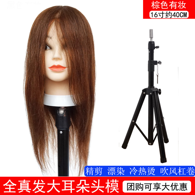 Todo cabello verdadero 16 pulgadas marrón + soporte de piso grande