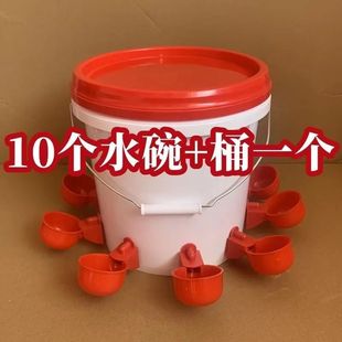 2024 Poultry Automatic Waterer Pigeon Chicken Water Kettle New Duck Goose Chicken Feeding Automatic Waterer Drinking Bowl