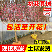�^�p�һ������ͥԺ���ܾGֲ���҃ȴ���������Ժ��B�׻��_���ļ�