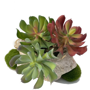 �������ֲ��ǧ�qɏ �ٻ�ܛ�z���Gֲ���Ԕ[���Ҿӿ͏d�̨�b���