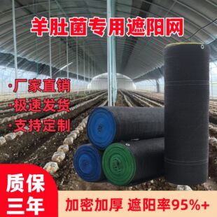 ��ꖾW�r�ô���ʳ�þ��Nֲȫ���Ͽ��ϻ����ܼӺ�ӽ���x��˪��