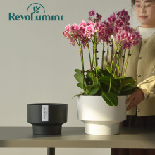 兰花花盆蝴蝶兰专用套盆组合盆桌面加厚多肉塑料花盆家用简约高级