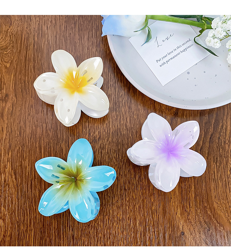 Simple Style Flower Plastic Resin Hair Claws display picture 3