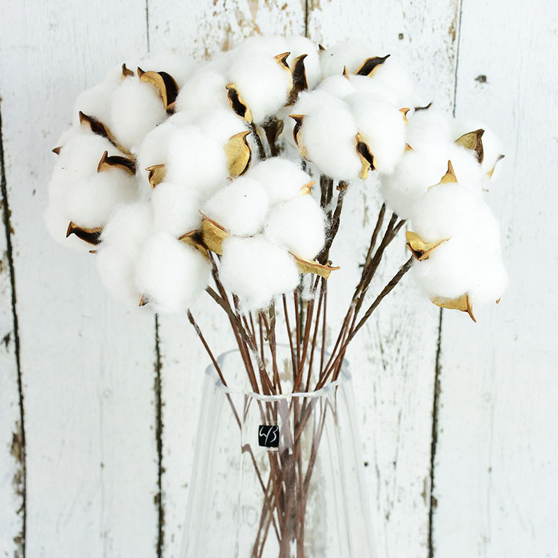 Naturally-Dried-Cotton-Flowers