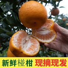 �����L��彭�ո����r�J�����̽��Ӹ���ˮ���ǳ���3��5��9������