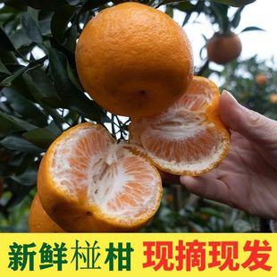�����L��彭�ո����r�J�����̽��Ӹ���ˮ���ǳ���3��5��9������