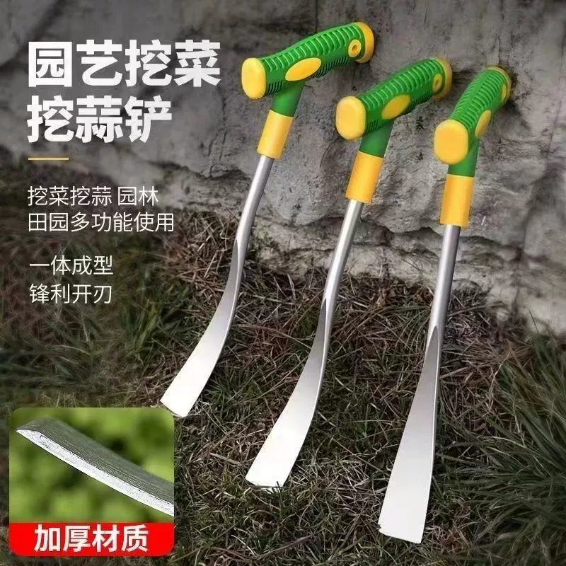 Копать дикие овощи, лопата, лопата, лопата, лопата, чеснок