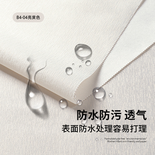 ?�����o�pȫ�ݰ����b�͏d���ҬF�����s�L���������ڲ�2025��