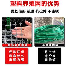 9P1E���ھW�Bֳ���o�ˈ@�řڑ�������r��r�u���Z�~��Ȧ�����z�W