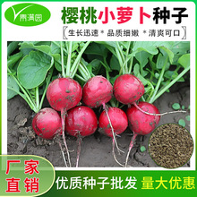 ���l�����}���N�Ӵ����֭�r��ˈ@�̨����С�t���A�}���N����