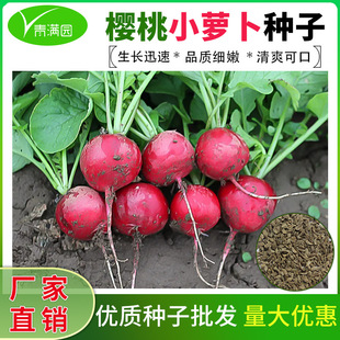 ���l�����}���N�Ӵ����֭�r��ˈ@�̨����С�t���A�}���N����