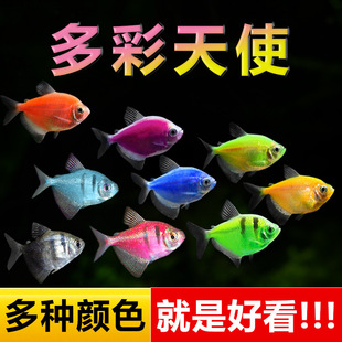 ��ʹ�~�^�p�~��̖��ˮ�Ꭷ�~С���~���~���~���B�ͻ��߲��~�����~