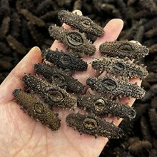 北方淡干辽参大连海参干货高泡发底播国标辽参淡干