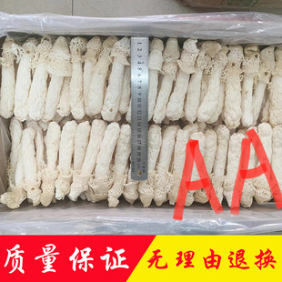 �F�����p�a��ֱ�N���l�t�����p�^�翗�����p��؛�ؼ����خa����