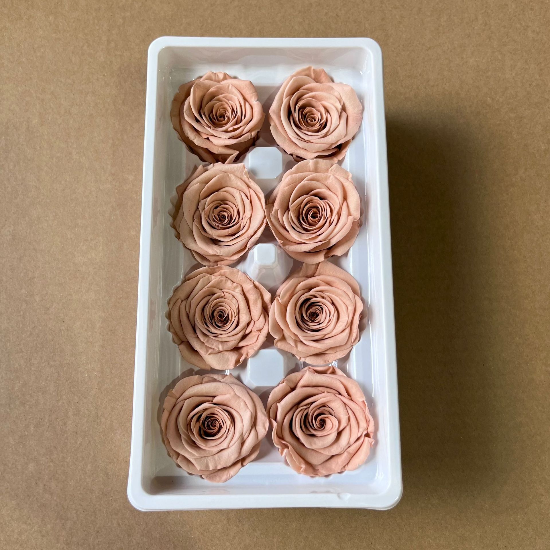 Café rojo grado A+ 4-5cm-8 piezas/caja