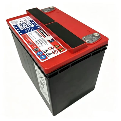 Brand new original Tesla Car battery/battery