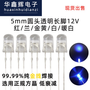 LED lamp bead F5/5mm round head red/blue/Golden/White/warm White 12v LED in-line spot