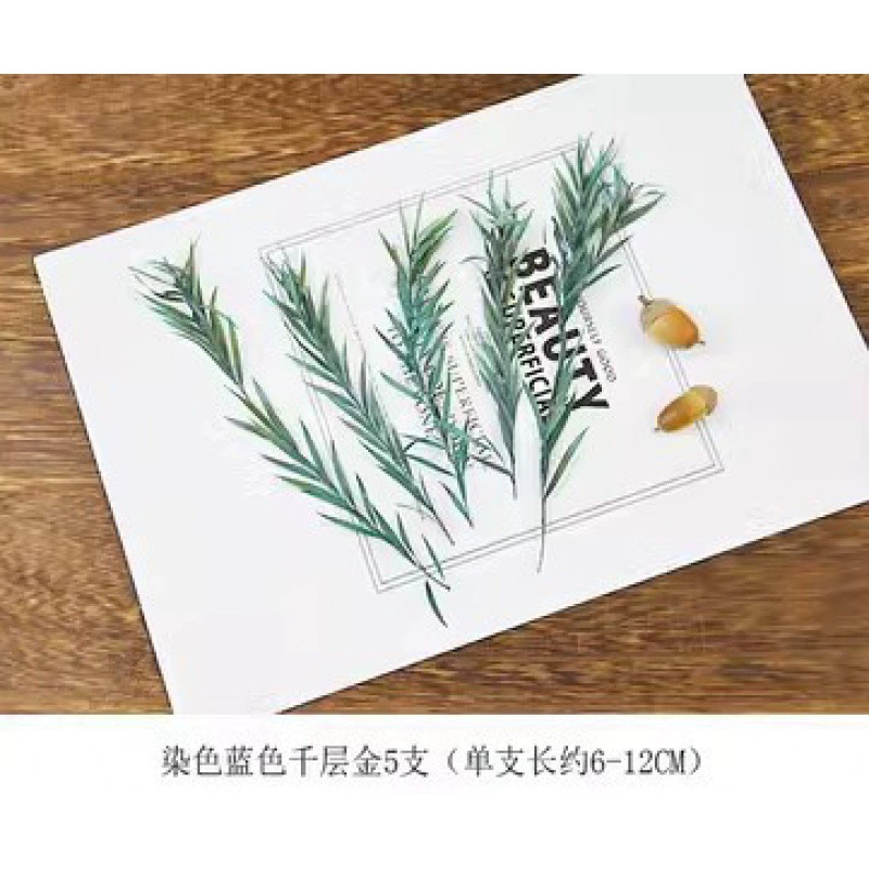 Organic sample, photo frame handmade, Christmas materials set, DIY