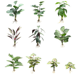 ���������~�O���~ ��ɫ�� �콶�~ �t���~ �����~�����Gֲ�ָ��^�z