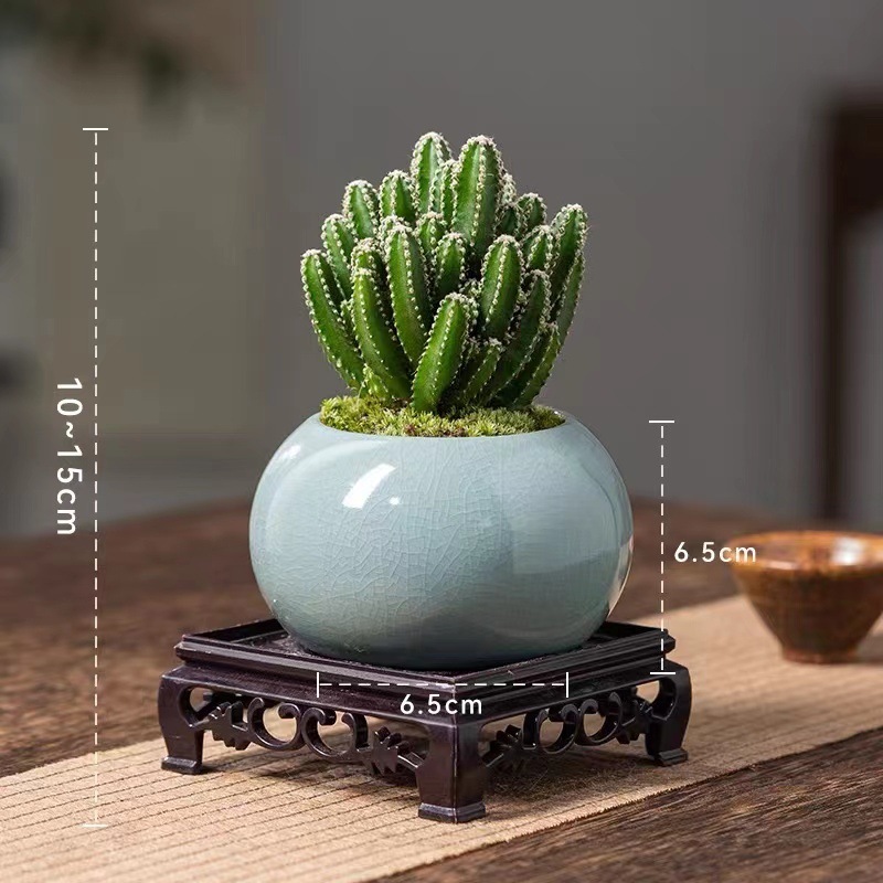 31d829ae-be0a-44a3-8805-4aff5a84d5b9.jpe