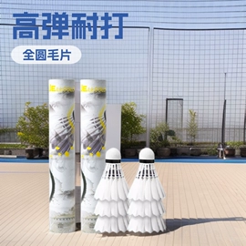 羽毛球拍;羽毛球;乒乓球网