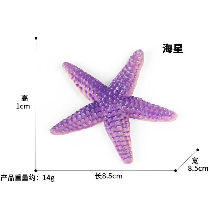 Estrella de mar PL127-2530 14g