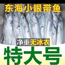 特大东海整条带鱼超宽野生刀鱼无冰新鲜冷冻特级国产大带鱼一整箱