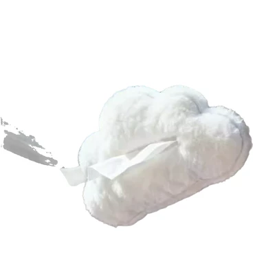 Holder, Portable Storage, Cross-Border, Car tissue box/set