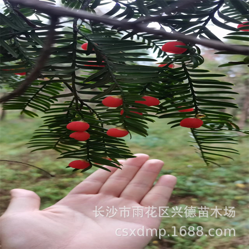 微信图片_20230220155838