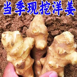 �󽪹��ӽ�10�����r�߲��������ȍu�����r���ԷN�F���u���ݲ�