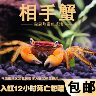 �t������з�^�pˮꑸ�����Ӽt��������з������w�k����С�з