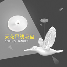 �컨������������P�����̶���