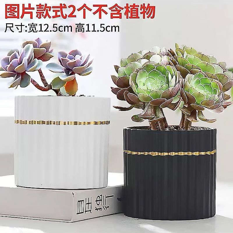 多肉植物の植木鉢セラミック漫画粗い陶器大皿古い杭かわいい通気性のある小さなセット組み合わせ屋内クリア Zhao Zhi Zheng|undefined