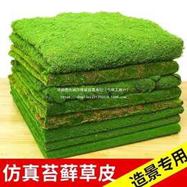 仿真苔藓草坪青苔草坪盆景草坪场景橱窗软装苔藓绿地墙面草苔藓