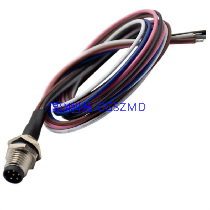 M12 Plug 5 Poles Straight Wire Panel Mount M12 ��ͷ 5о����